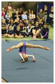 City of Newport Gymnastics Academy — gymnastics-studio in Liswerry, Newport — 2