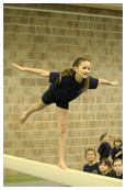 City of Newport Gymnastics Academy — gymnastics-studio in Newport — 6